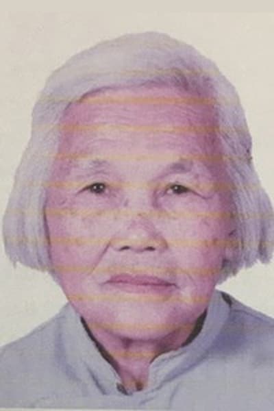 falun gong