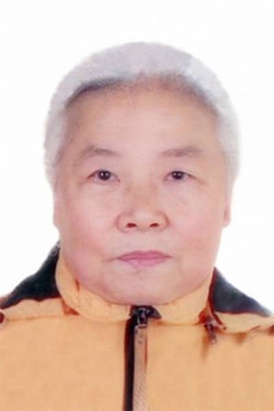 falun gong